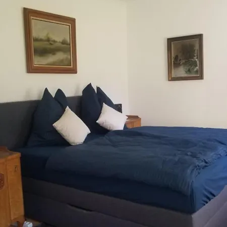 Big Blue House